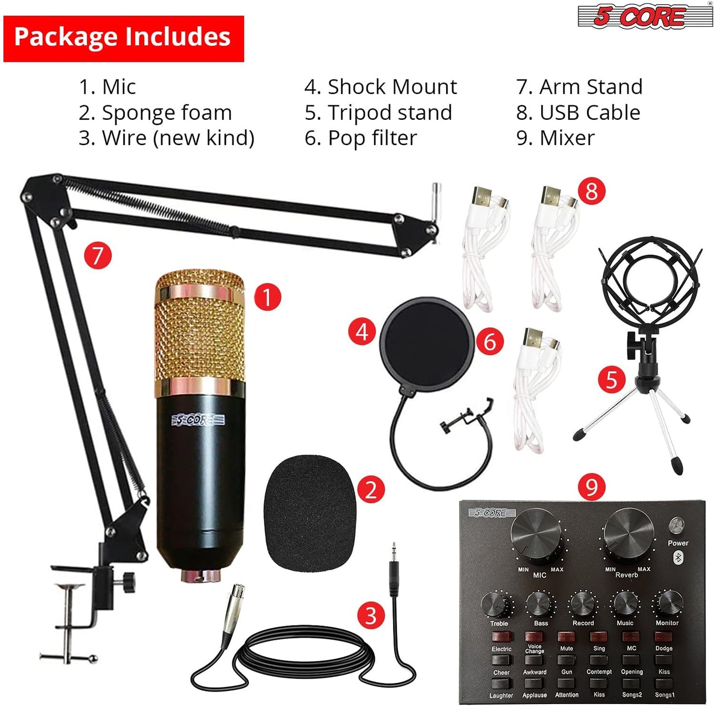 5Core Pro Audio Condenser Microphone Mic Kit Vocal Studio Recording