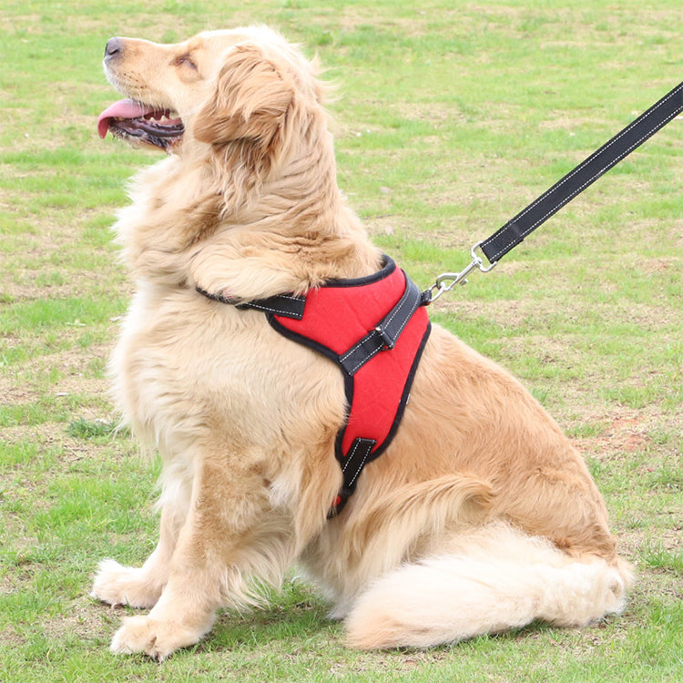 Fast Shipping Adjustable Dog Pet Harness