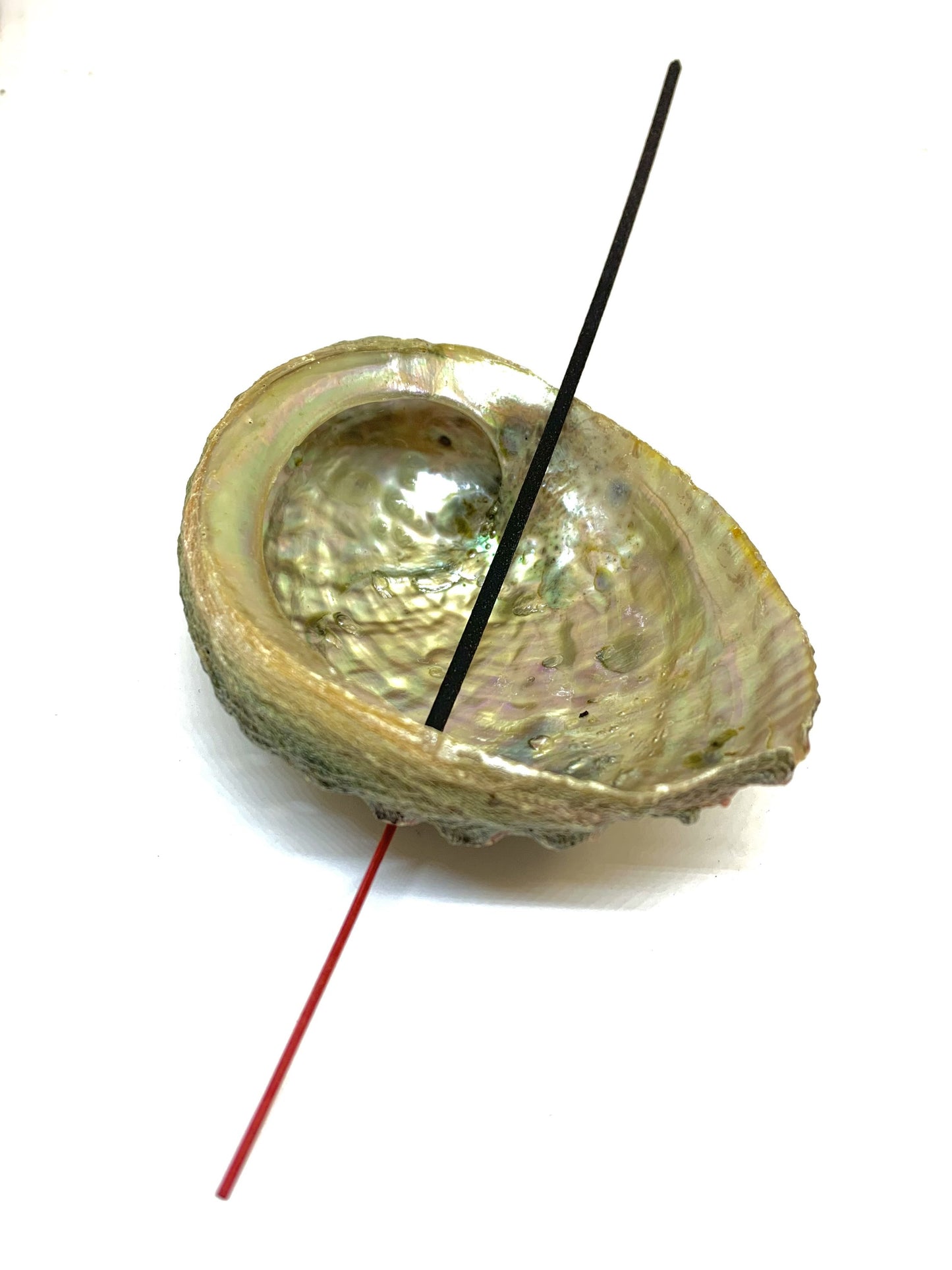 Abalone Shell Incense Holder