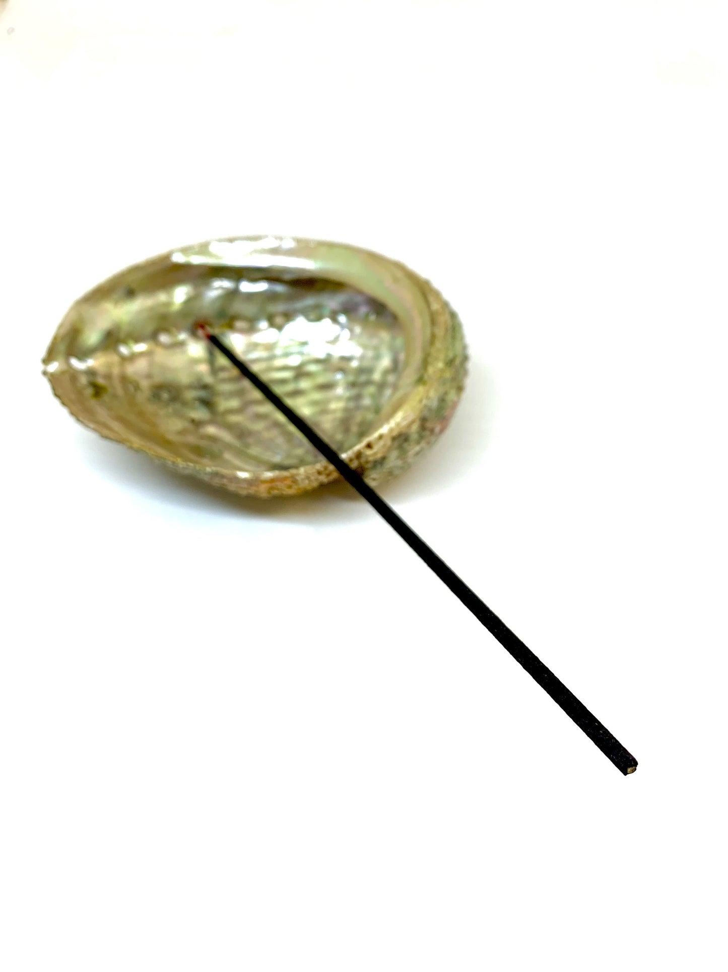 Abalone Shell Incense Holder