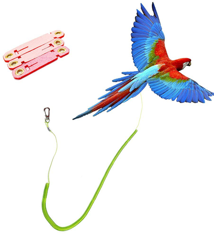 Parrot Bird Harness Leash Stretchable to 20" Anti-bite Outdoor Flying Training Rope with 3pcs Different Sizes of Soft Foot Loops(Upgraded Version)