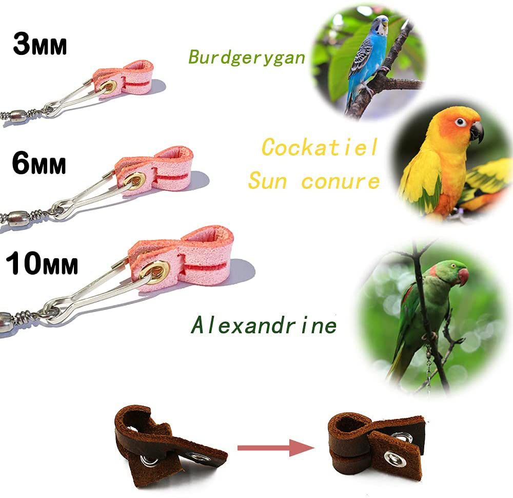 Parrot Bird Harness Leash Stretchable to 20" Anti-bite Outdoor Flying Training Rope with 3pcs Different Sizes of Soft Foot Loops(Upgraded Version)