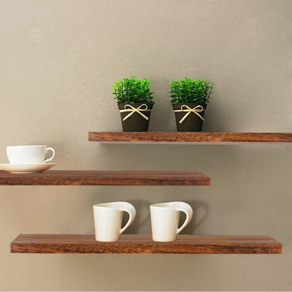 Wooden Plant Shelves Journals Rack