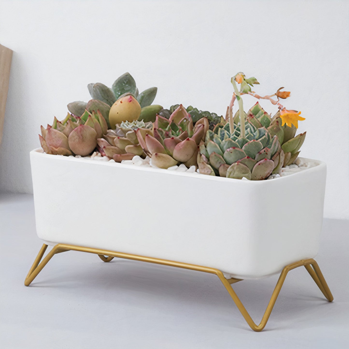 Succulent Planter-Supported