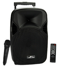 12 Inch 700 Watts Bluetooth Portable Speaker