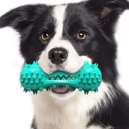 Pet Dog Cleaning Chew Toys
