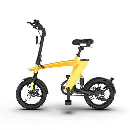 Foldable Electric Bike 250W