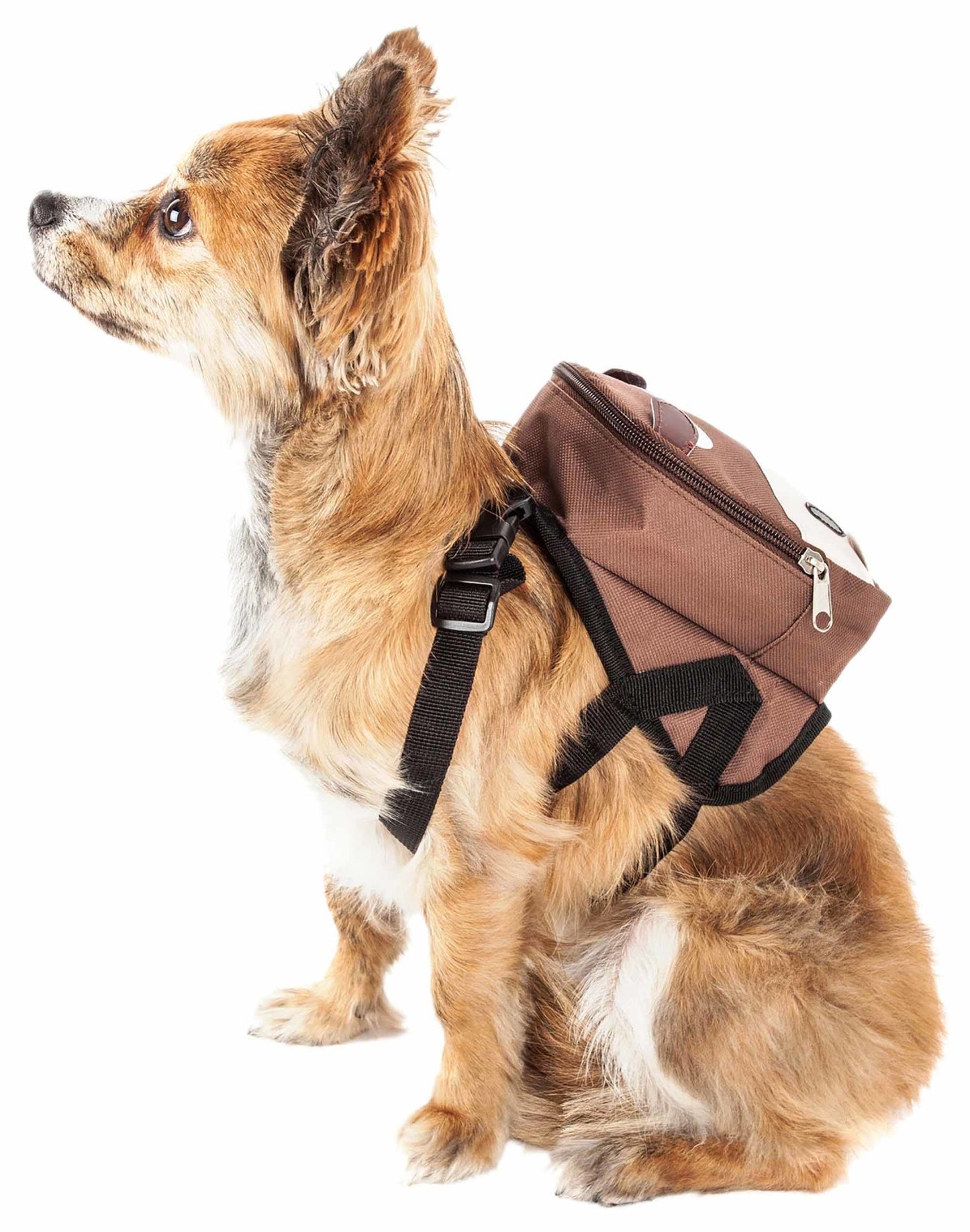Pet Life 'Mooltese' Large-Pocketed Compartmenta Backpack