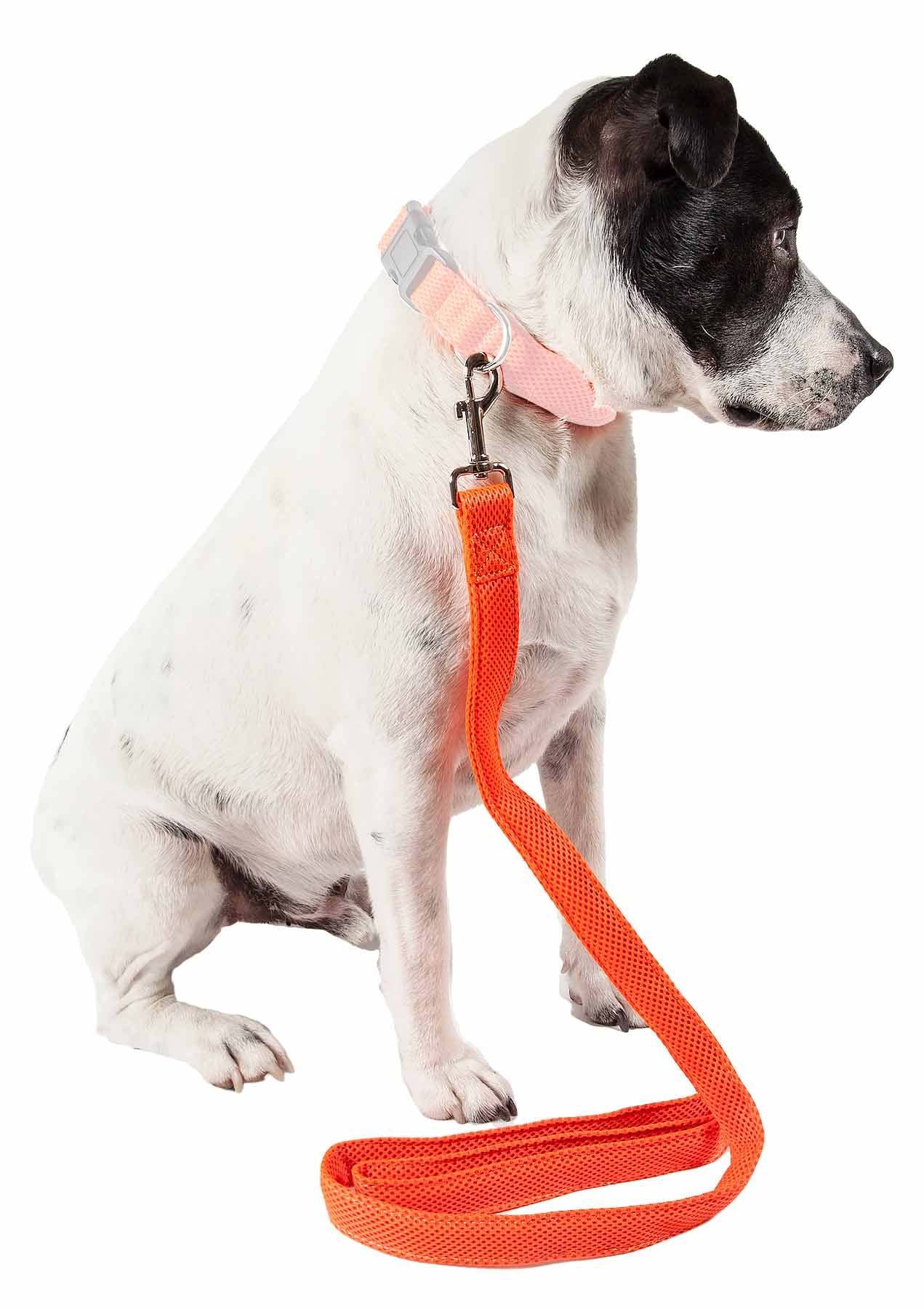 Breathable Adjustable Mesh Dog Leash