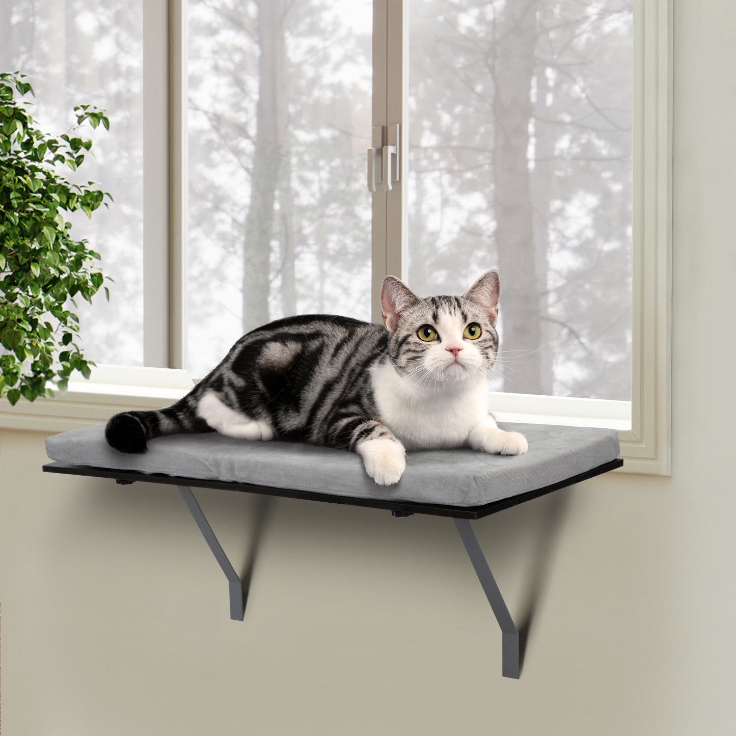 Cat Perch Window Mounted Shelf Bed