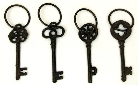 Single Key on Ring Set of 4