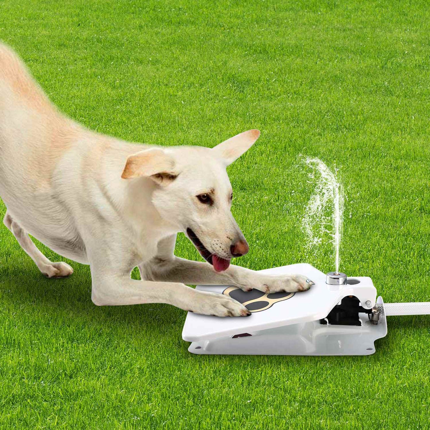 Dog Water Fountain Outdoor Dog Pet Water Dispenser