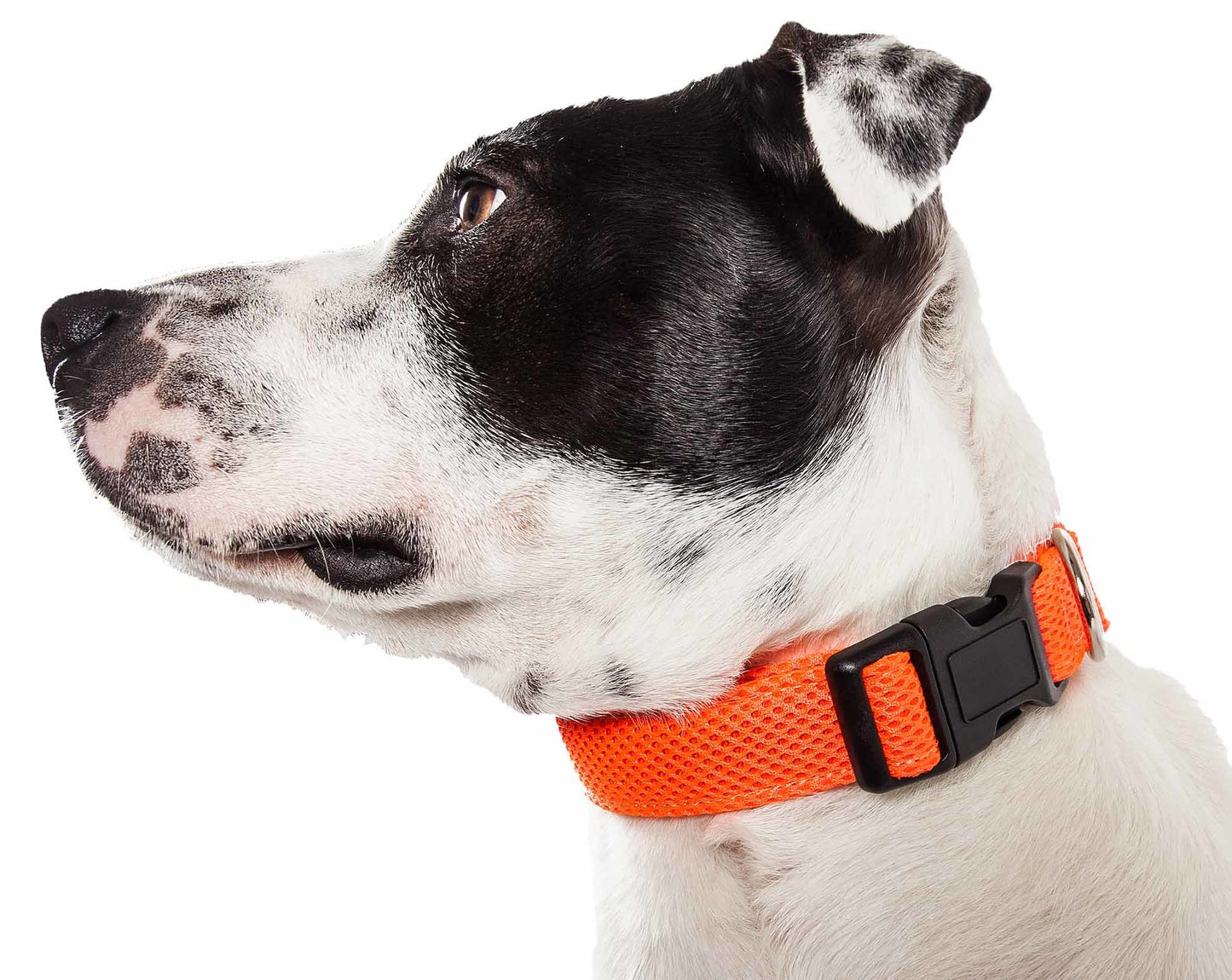 Breathable Adjustable Mesh Dog Collar