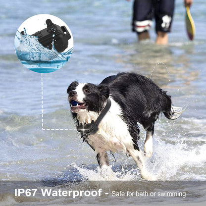 Dog Training Collar Waterproof Pet Trainer