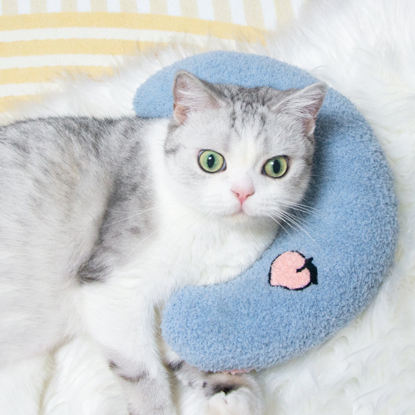 Cat Pillow, Small Pillow for Cat,