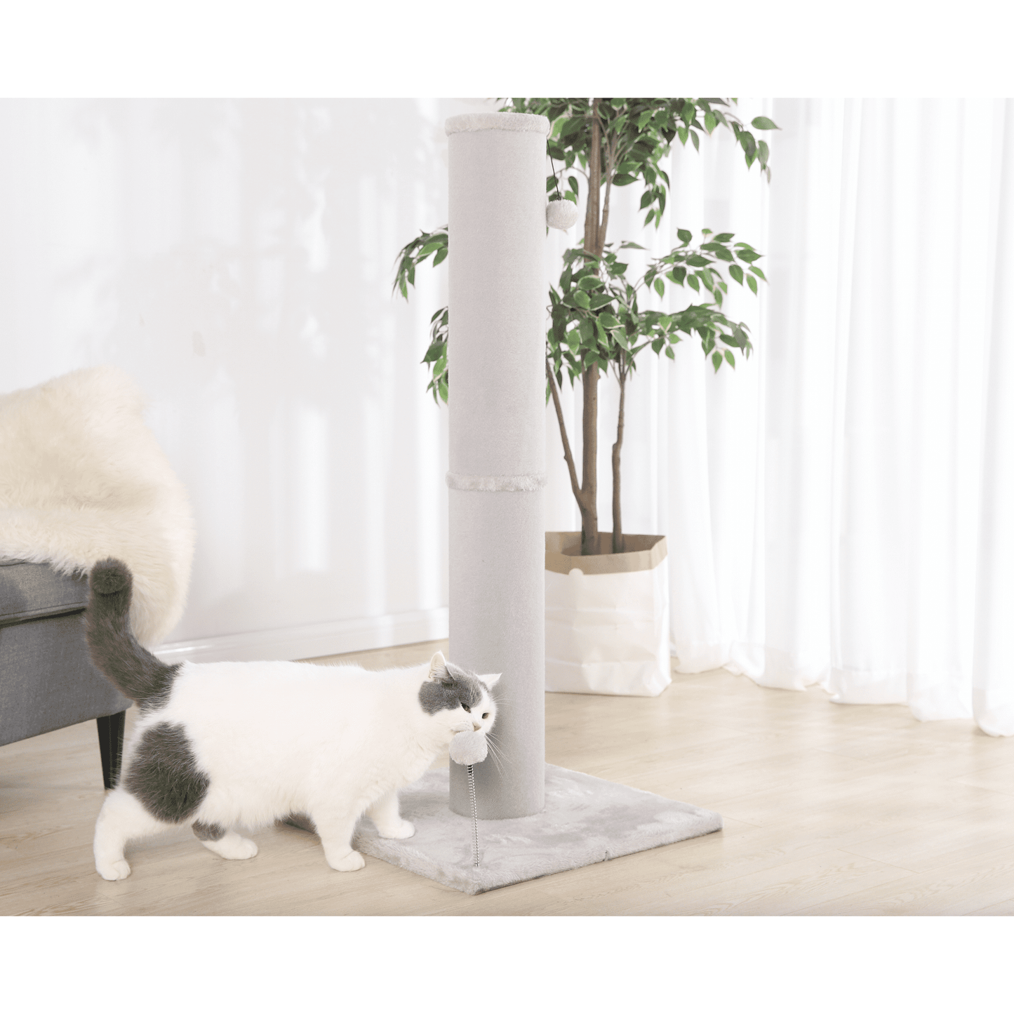 Jumbo Carpet Cat Scratching