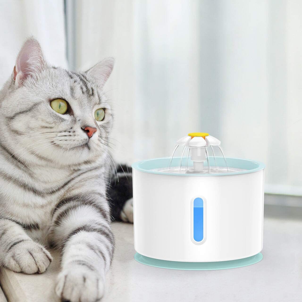 Explosive Quadruple Filter Pet Water Dispenser