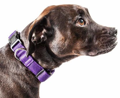 Breathable Adjustable Mesh Dog Collar