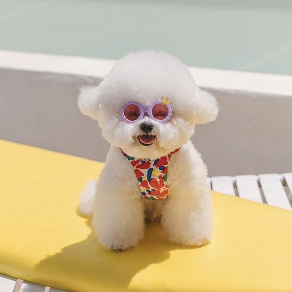 New Style Crown Round Sunglasses For Dogs