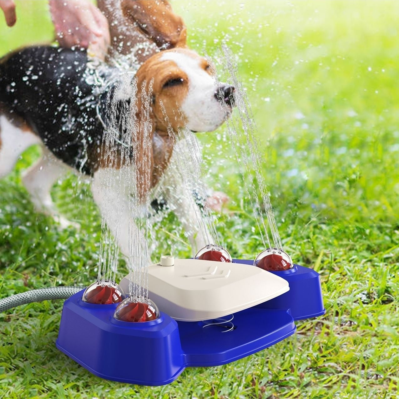 Summer Dog Water Play Sprinkler For Garden