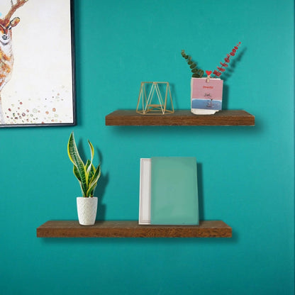 Wooden Plant Shelves Journals Rack